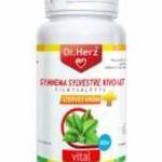Dr. Herz Gymnema Sylvestre 160 mg + szerves króm tabletta (60 db) fotó