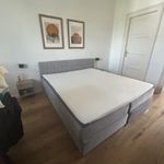 President Boxspring franciaágy – 180x200 cm fotó