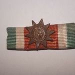 Magyar Szabadság Érdemrend 1946 szalagsáv bronz fokozat fotó