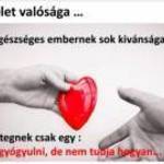 Csípőprotézis nélkül jobb élni! fotó
