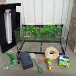 54 literes Juwel akvárium szett. Juwel szűrővel, felszerelésekkel. fotó