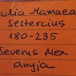 EXTRA ZÖLDPATINÁS JULIA MAMMAEA SESTERCIUS fotó