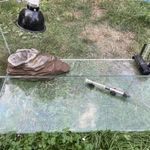 Terrárium akkár berendezve is eladó fotó