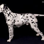 ROYAL DOUTON KÉZZEL FESTETT PORCELÁN DALMATA KUTYA X fotó