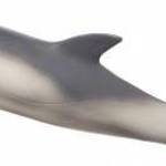 MJ387358: MOJO DELFIN L - FORMATEX KFT. fotó