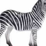 MJ387393: MOJO ZEBRA HÍM XL - FORMATEX KFT. fotó