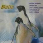 Fotópapír Penquins A4, matte (matt), 108 grammos eladó! fotó