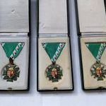 Tiszthelyettesi (zászlósi) Szolgálati Jel 1992. fotó