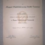 Magyar Népköztársaság Érdemrendje Adományozó 1955 fotó
