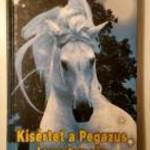 Kísértet a Pegazus Lovastanyán (Sabine Giebken) 2012 (8kép+tartalom) fotó