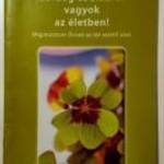 Végre Ismét Boldog és Sikeres Vagyok az Életben! fotó