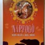 Napfogó (Marina Miller-Angela Dorsey) 2013 (8kép+tartalom) fotó