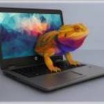 125 kápé, s tiéd ez a HP: HP ProBook 440 G7 fotó