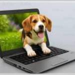 88 kápé, tiéd ez a HP: EliteBook 725 G4 fotó