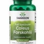 Swanson Coleus Forskohlii 400mg 60 kapszula (Indiai csalángyökér kivonat) fotó