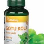 Vitaking Gotu Kola kivonat 2000mg (60) vegán kapszula (Ázsiai gázló) fotó
