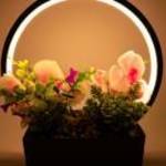 Dekoratív cserép LED-es orchideákkal és pozsgásokkal – USB-s, 30×10×30 cm fotó