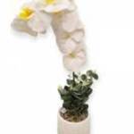 Fehér kerámia díszedény műorchideával – 13×54 cm fotó