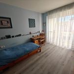 Komplett gyerek szobabútor tömör fenyőből (8db) fotó