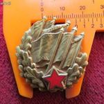 KIVÁLÓ POLITIKAI TISZT JELVÉNY RITKASÁG kiv+ fotó