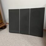 Bang & Olufsen Redline 140 hangfalpár fotó