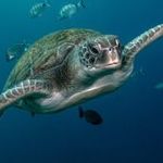 Teszt hirdetés 8 fotó