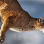 Teszt hirdetés 6 fotó