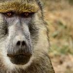 Teszt hirdetés 5 fotó