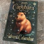 Capybara adventi naptár fotó