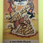 Mozaik 1973/11 "A csalódás völgye" fotó