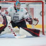 Horváth Dominik dedikált ütő fotó