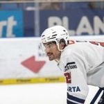 Falus Ádám dedikált mez fotó