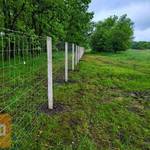 Kerítés építés országosan! Drótfonat, drótháló, vadháló, kapu fotó