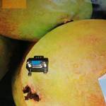 Soros portos VGA àt alakító fotó