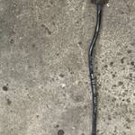 AUDI A6 4F 4, 2 V8 QUATTRO * hátsó stabilizátor rúd fotó