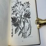 1788 Közép-Magyarország első botanikai munkája BIBLIOFIL KIADVÁNY RENGETEG KÉPPEL BŐRKÖTÉSBEN fotó