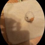 Vegyes szundikendők 0178b. (Little Dutch) fotó