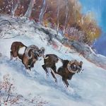 Hegyről le c. Muflonos festmény fotó