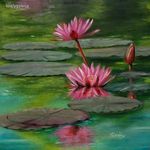 Water lily - 50 x 50 centis olajfestmény fotó