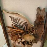 S-15 Öszi Erdő Kincsei Fakeretes falikép 35x50 Cm fotó