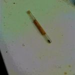 üveg kémcső fotó