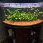 Eladó 180l-es sarok akvárium fotó