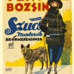 Zsolt Géza (?) reklámplakát, Fenyő és Bozsin szűcsmesterek, kőnyomatos kisplakát, kartonra ragaszt fotó