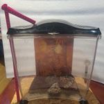 plexi terrárium kissebb szörnyeknek növényeknek led világítással terra fotó