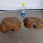 2db XXL ExoTerra hüllő bújkáló műszikla.Kb féláron. fotó