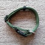 Eladó S méretű nyakörv és kutyahám fotó