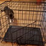 Kisállat ketrec TÖBBFUNKCIÓS FÉMKETREC - Kutyák, macskák, macskák és egyéb állatok kabinja fotó