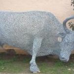 Még több szürke marha vásárlás