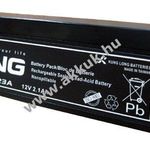 Ólom akku Long Kung Long típus WP1223A (régi WP1223W) 12V 2, 1Ah fotó