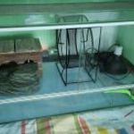 Terrárium kisemlősöknek hüllőknek fotó